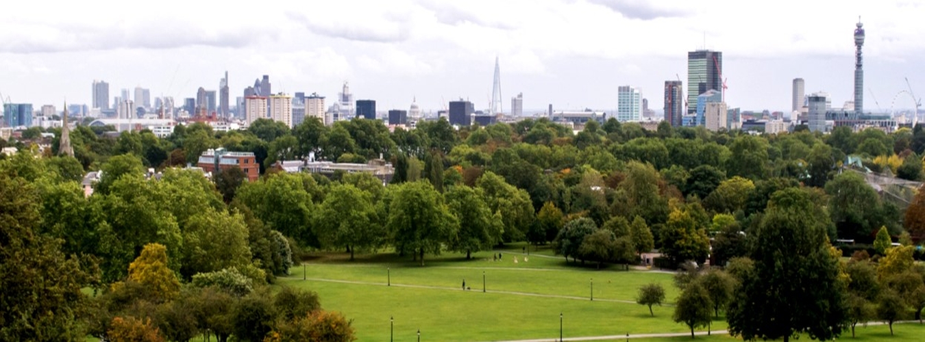 Photo of Primrose Hill London.